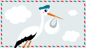 Here Comes the Stork - That Poore Baby is on it's Way!