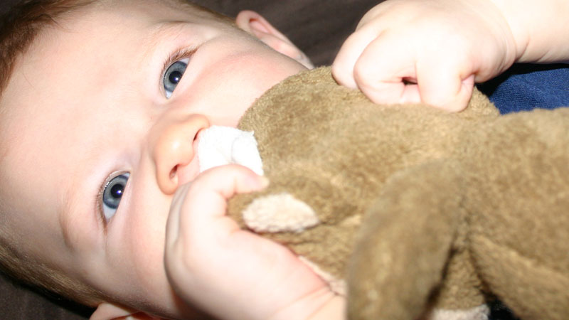 Baby Eats Stuffed Animal