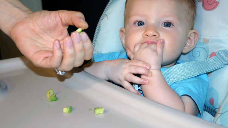 Baby's First Solid Food