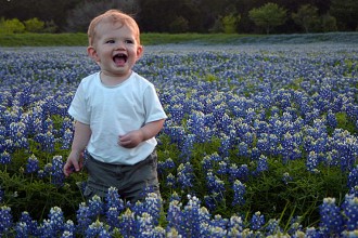 Scouting the field of Texas bluebonnets