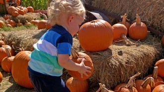 The Fall Festival at Barton Hill Farms