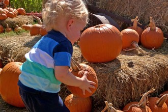 The Fall Festival at Barton Hill Farms