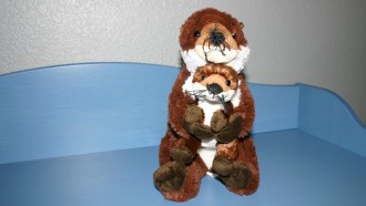 First Stuffed Animal - That Poore Baby