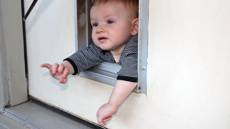 The Doggy Door is Something We Forget to Baby Proof