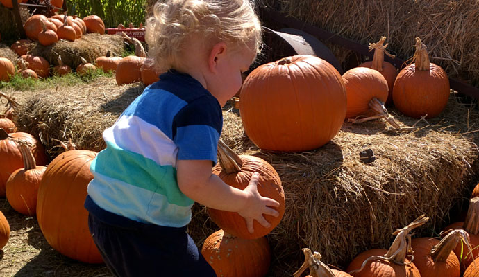 That Poore Baby picking a pumpkin