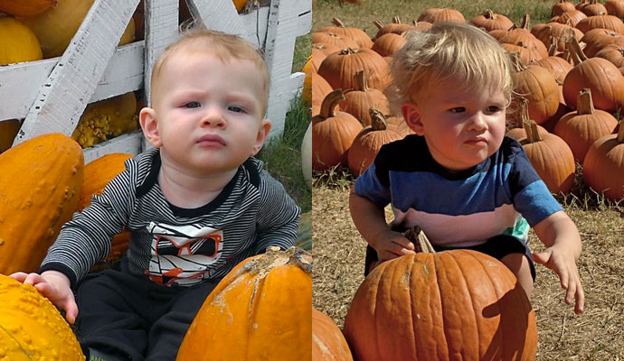 Year to year pumpkin patch comparison 