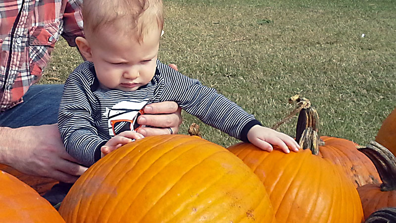 Popeye Touches Pumpkins