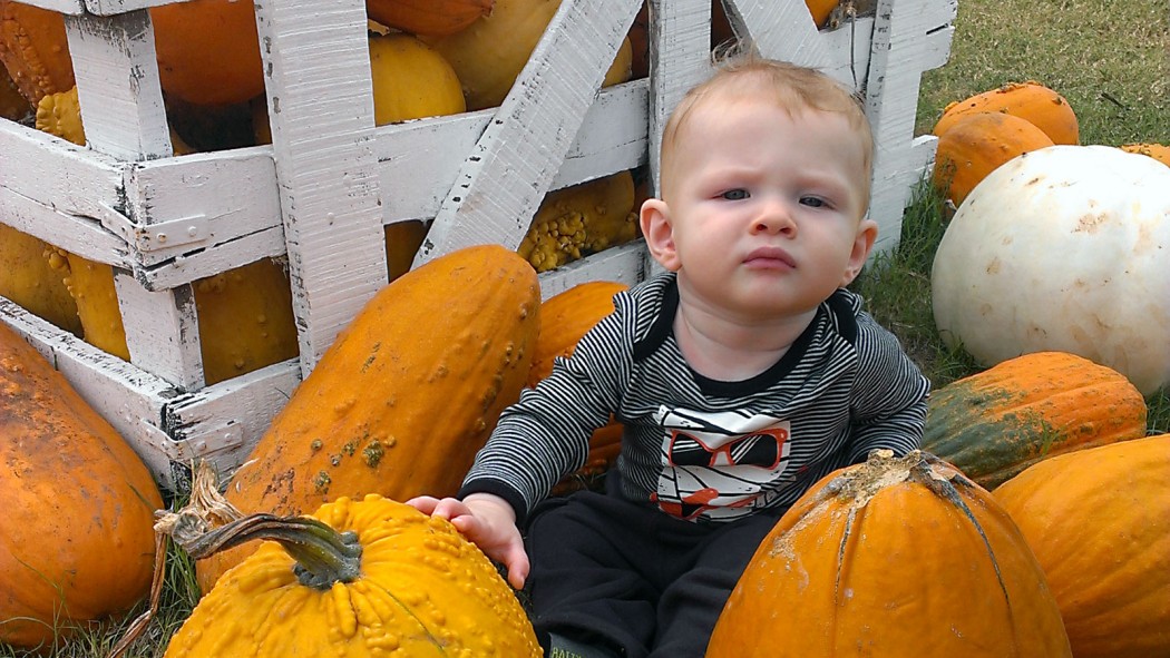 Sweet Berry Farm in Marble Falls