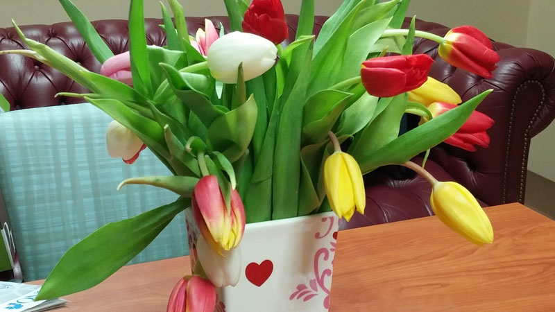 Valentine's Day Tulips from ProFlowers