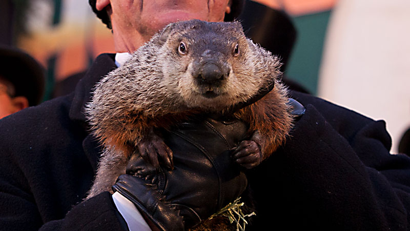 Ground Hog day in Punxsutawney (photo by Anthony Quintano - creative commons)